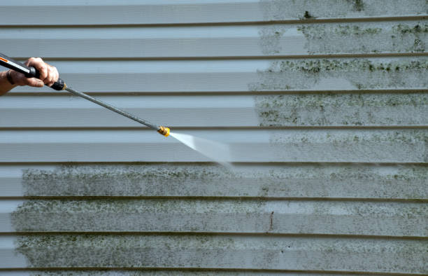 Best Professional Mold Removal  in Brookneal, VA