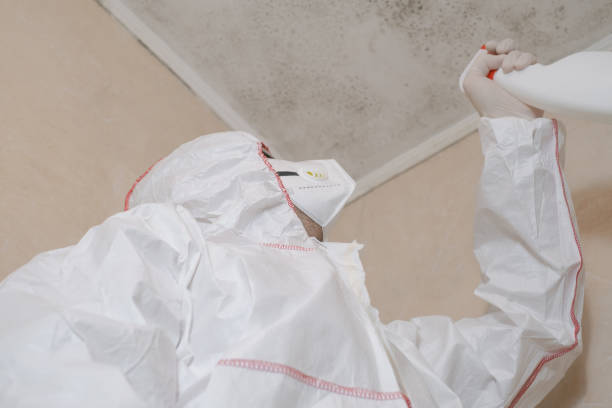 Best Local Mold Removal Service  in Brookneal, VA