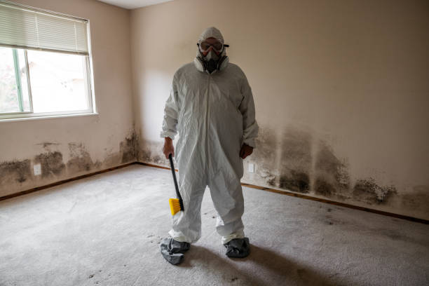 Home Mold Removal in Brookneal, VA